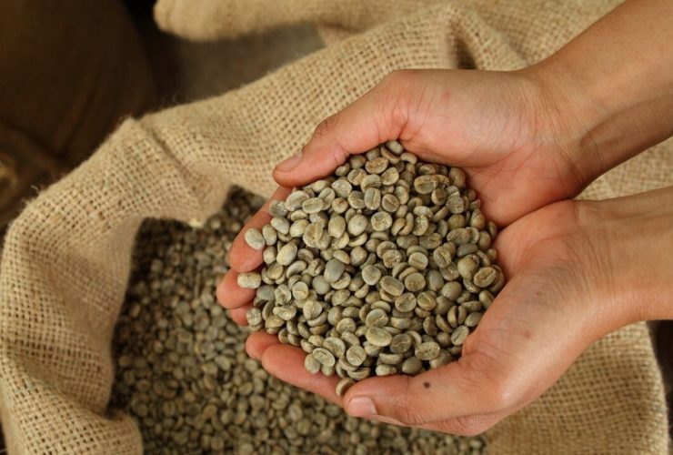 Ilustrasi Defect Biji Kopi