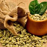 Kopi Java Ijen Raung